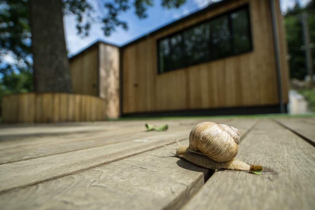 Vila Vivenot Malá Morávka エクステリア 写真