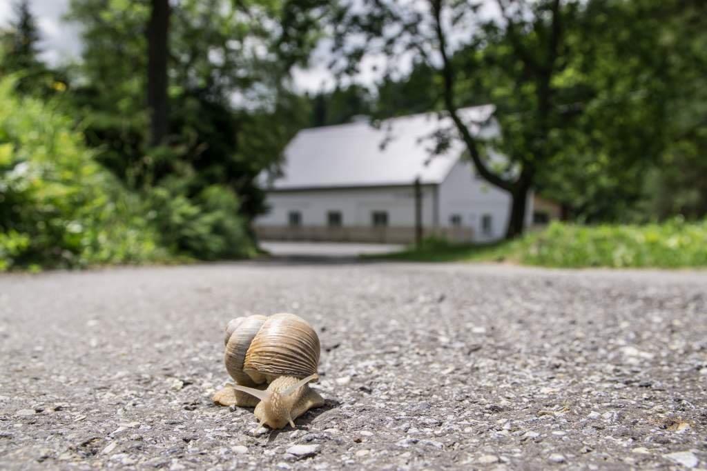 Vila Vivenot Malá Morávka エクステリア 写真